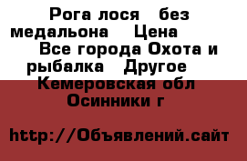 Рога лося , без медальона. › Цена ­ 15 000 - Все города Охота и рыбалка » Другое   . Кемеровская обл.,Осинники г.